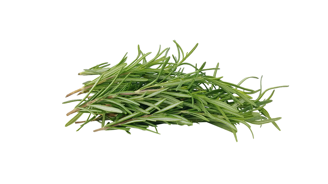 rosemary, herb, honey, spice, food, fresh, green, cooking, ingredient, plant, fragrant, leaf, kitchen, chef, farsighted, nature, taste, dining, salt, healthy, rosemary, rosemary, rosemary, rosemary, rosemary