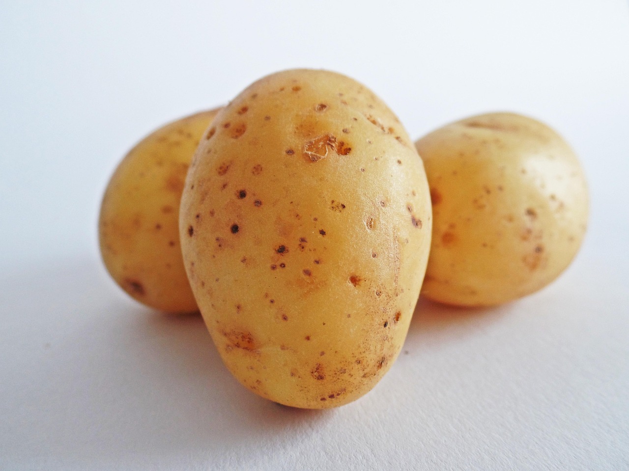 potatoes, vegetables, field, meal, bio, nature, agriculture, carbohydrates, potatoes, potatoes, potatoes, potatoes, potatoes