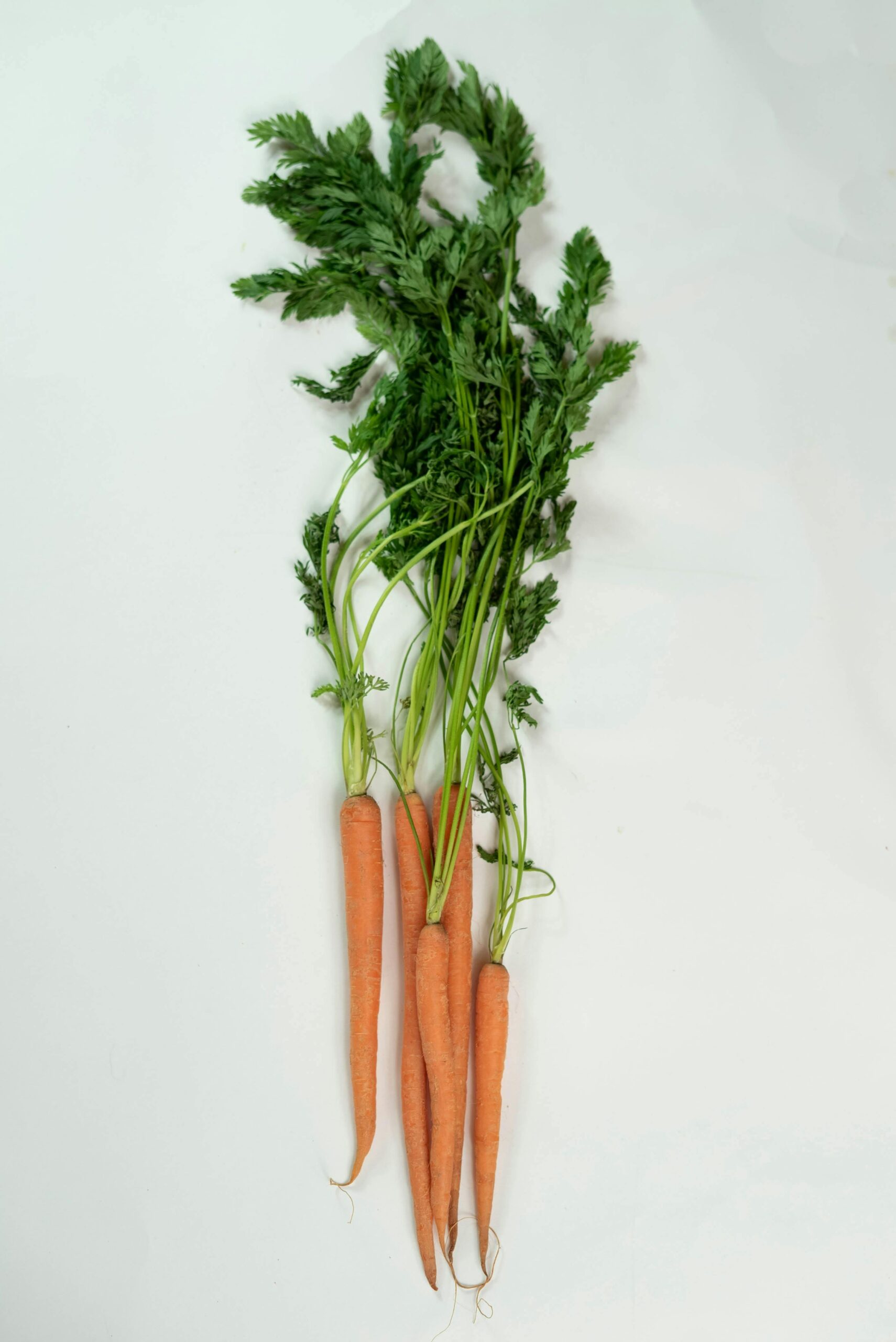 Top view of fresh organic carrots with greens on a white background.